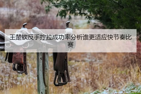 王楚钦反手拧拉成功率分析谁更适应快节奏比赛