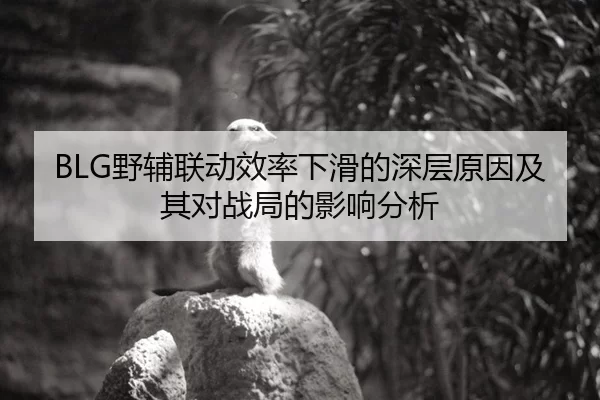 BLG野辅联动效率下滑的深层原因及其对战局的影响分析