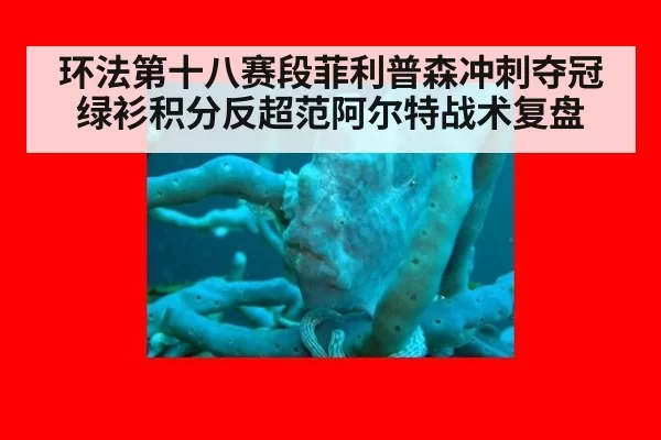 环法第十八赛段菲利普森冲刺夺冠 绿衫积分反超范阿尔特战术复盘